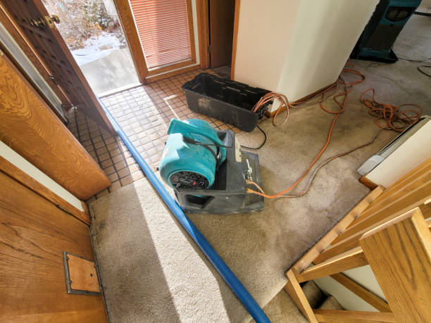 Best Local water damage restoration  in Wyndham, VA