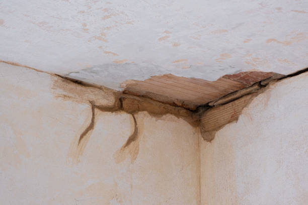 Best Flooded house restoration  in Wyndham, VA
