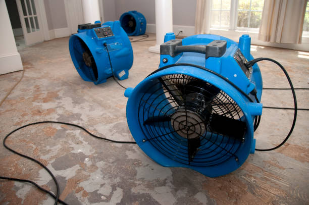 Best Commercial water damage restoration  in Wyndham, VA