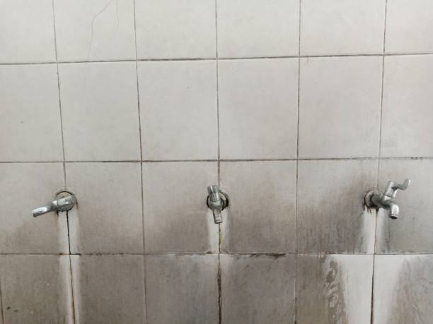 Best Water damage contractors near me  in Wyndham, VA