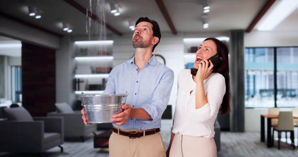 Best Water damage cleanup near me  in Wyndham, VA