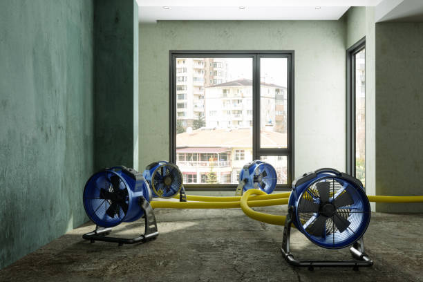 Best Emergency water damage restoration  in Wyndham, VA