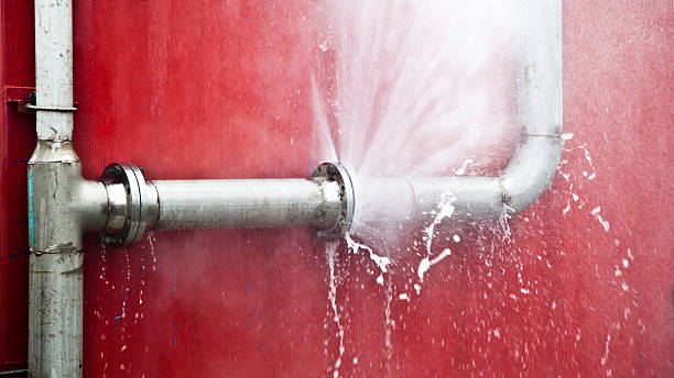 Best Carpet water damage restoration  in Wyndham, VA